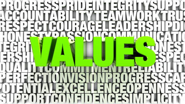 EDCI 6207 Developing Policies to Complement your School's Values